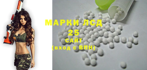 индика Бронницы