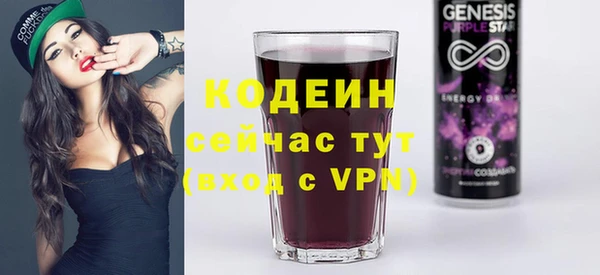хмурый Верея