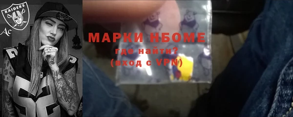 индика Бронницы