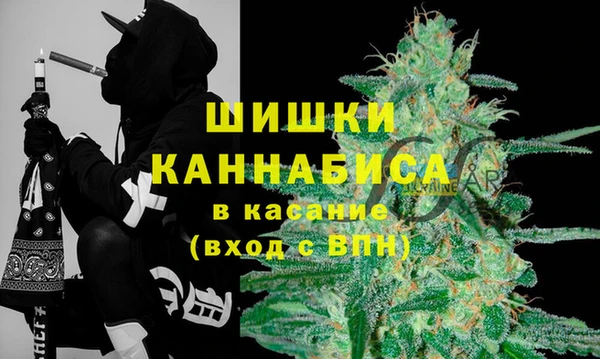 mdma Бородино