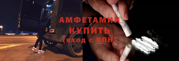 хмурый Верея