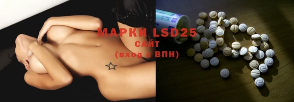 индика Бронницы