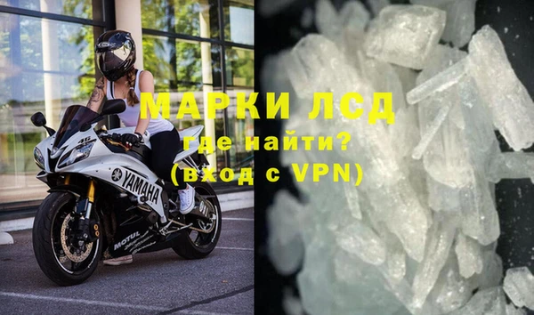 индика Бронницы