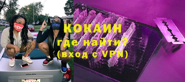 индика Бронницы