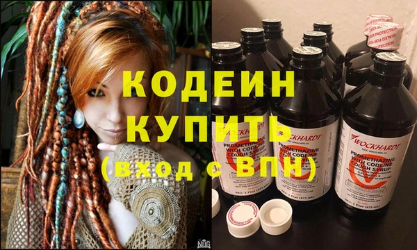 хмурый Верея