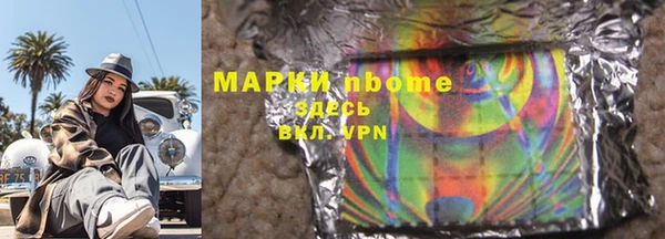хмурый Верея