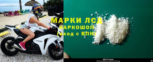 хмурый Верея