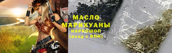 индика Бронницы