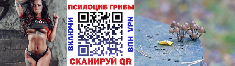 Псилоцибиновые грибы мицелий  блэк спрут зеркало  Долинск 